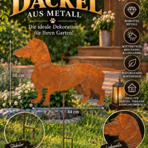 Edelrost Dackel